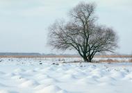 Андріївка з panoramio.com