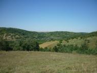 Карпівка - Останні фото