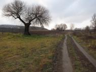 Залиман з panoramio.com