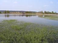 Бахмутівка з panoramio.com