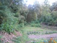 Креничі з panoramio.com