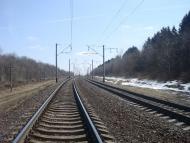 Коричинці з panoramio.com