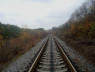 Вільхівчик з panoramio.com