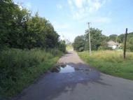 Ромашки з panoramio.com