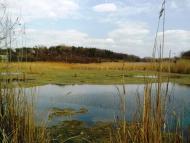 Лисичанський з panoramio.com