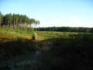 Гончарівка з panoramio.com