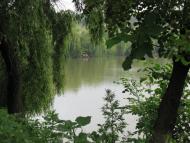 Томашпіль з panoramio.com - Tomashpol