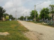 Виноградне з panoramio.com