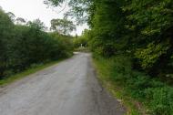 Буковець з panoramio.com