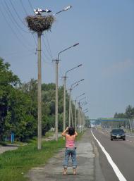 Сираї з panoramio.com