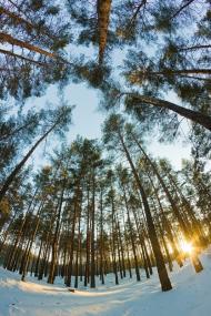 Червоний Донець з panoramio.com