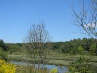 Любовичі з panoramio.com