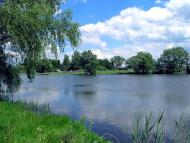 Федорівка з panoramio.com