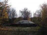 Дзензелівка з panoramio.com - Дзензелівка