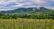 Новий Мізунь з panoramio.com - Новый Мизунь