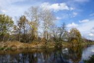 Залиман з panoramio.com