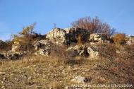 Красна Зоря з panoramio.com