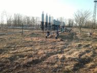 Пиняни з panoramio.com