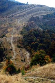 Тюшка з panoramio.com