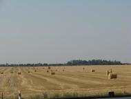 Прилиманське з panoramio.com