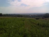 Добряничі з panoramio.com