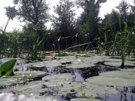 Перевіз з panoramio.com