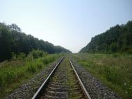 Тарасівка з panoramio.com