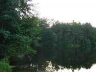 Линея з panoramio.com