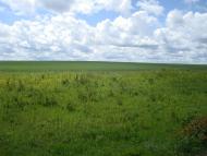 Балакири з panoramio.com