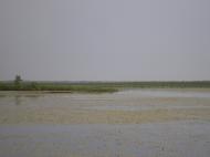 Кованка з panoramio.com