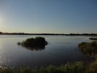 Лиманне з panoramio.com