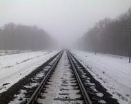 Шепелівка з panoramio.com