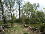 Івашківка з panoramio.com