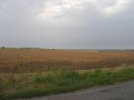 Гожули з panoramio.com