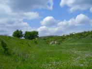 Майорка з panoramio.com