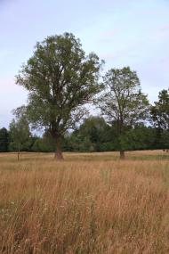 Деркачівка з panoramio.com