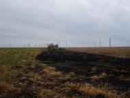 Булдинка з panoramio.com