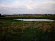 Боровичі з panoramio.com