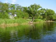 Пелагіївка з panoramio.com