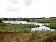 Ларине - Останні фото