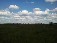 Лисогубівка з panoramio.com