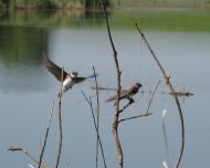 Яхни з panoramio.com