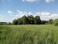 Єлизаветівка з panoramio.com