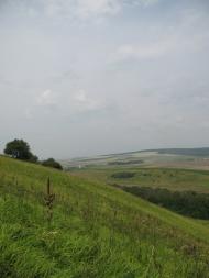 Путятинці з panoramio.com