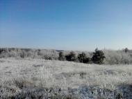 Луківка з panoramio.com