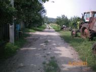 Кицівка з panoramio.com