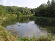 Синичине з panoramio.com