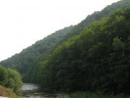 Ганьковиця з panoramio.com - Gankovytsya
