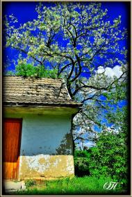 Майорка з panoramio.com