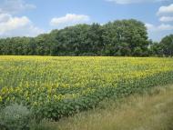 Великі Трояни з panoramio.com